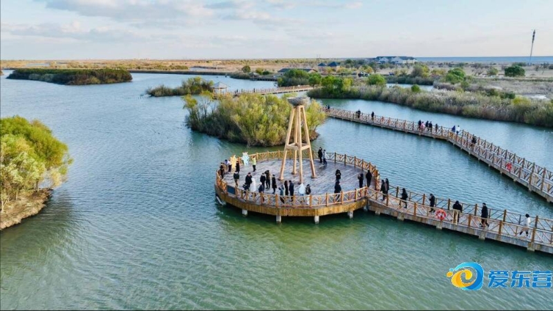 他们积极地 他们积极地