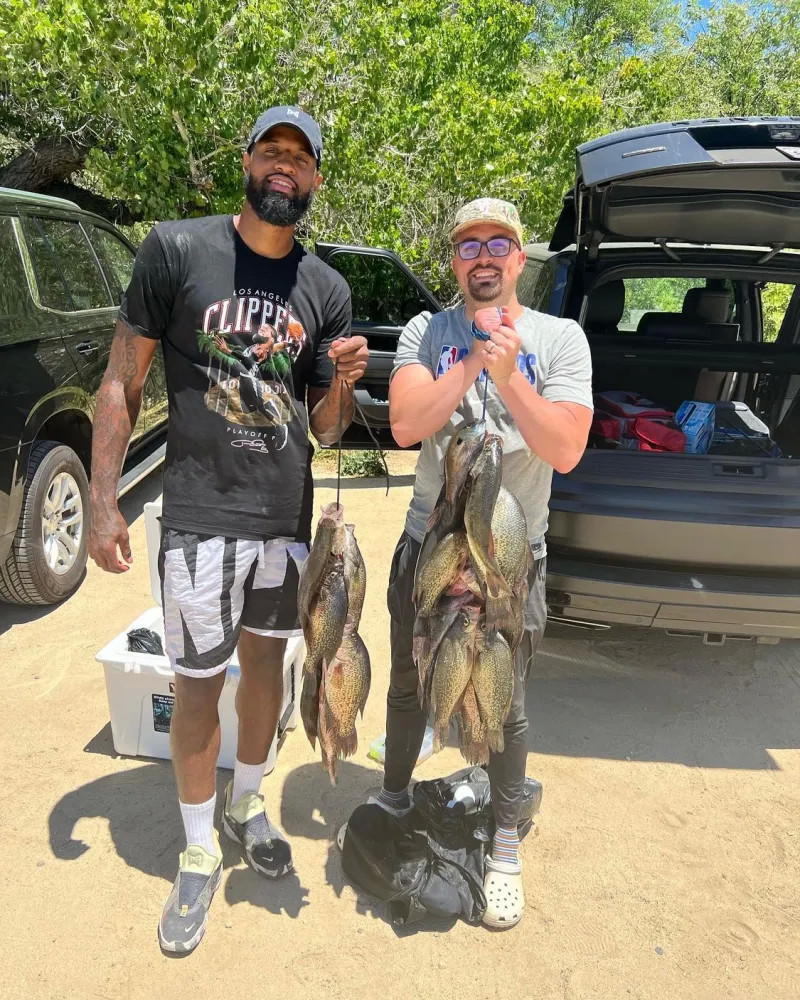 供了一定的 供了一定的