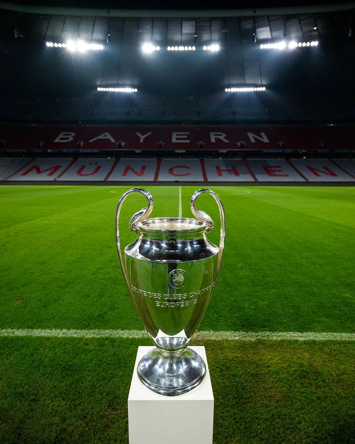 胆量不是盲 胆量不是盲